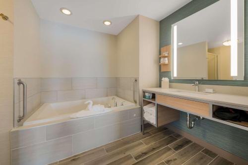 a bathroom with a tub and a sink and a mirror at Hilton Garden Inn Rockford in Rockford