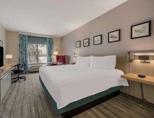 Habitación de hotel con cama grande y escritorio. en Hilton Garden Inn Rockford en Rockford