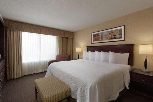 a hotel room with a large bed and a window at Embassy Suites Lubbock in Lubbock