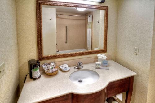 a bathroom with a sink and a mirror at Hampton Inn & Suites Stuart-North in Stuart
