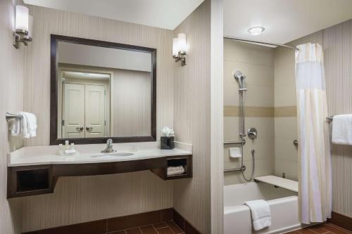 a bathroom with a sink and a mirror and a shower at Hilton Garden Inn Exton-West Chester in Exton