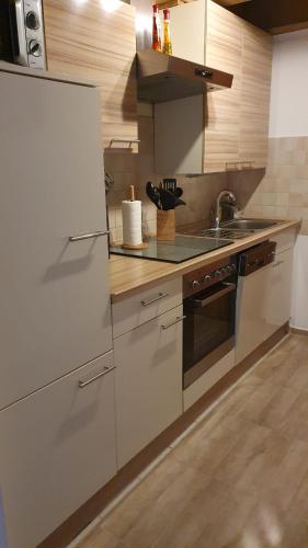 a kitchen with a white refrigerator and a sink at Haus Sonntal in Bodenmais