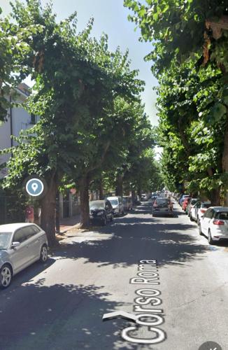a street with trees and cars parked on the road at GELSOMINO in Levanto