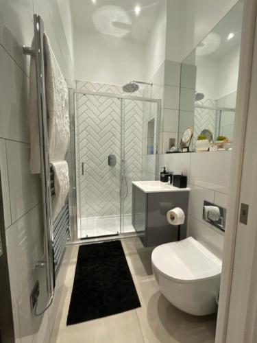a bathroom with a shower and a toilet and a sink at Luxury 2 bedroom Flat Sutton in Sutton