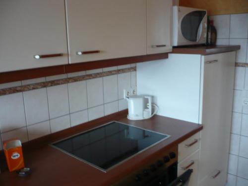 a kitchen counter with a sink and a microwave at Ferienwohnung „An der olen Au“ in Tönnhausen