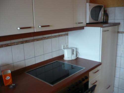 a kitchen counter with a sink and a microwave at Ferienwohnung „An der olen Au“ in Tönnhausen