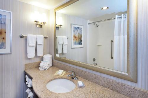 a bathroom with a sink and a large mirror at Hilton Garden Inn Philadelphia-Fort Washington in Fort Washington