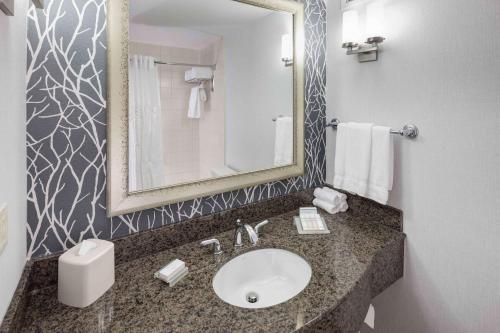 W łazience znajduje się umywalka i lustro. w obiekcie Hilton Garden Inn Detroit/Novi w mieście Novi