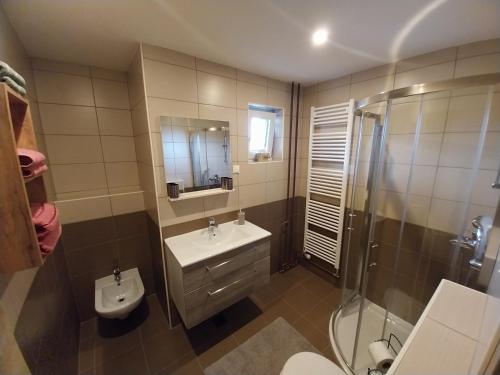 ein Bad mit einem Waschbecken, einem WC und einer Dusche in der Unterkunft Apartments at Klemen in Zgornje Gorje