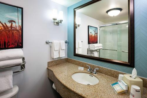 a bathroom with a sink and a mirror at Hilton Garden Inn Omaha Downtown-Old Market Area in Omaha