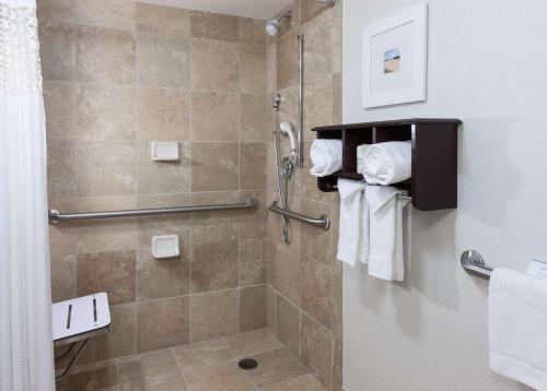 a bathroom with a shower stall with towels at Hampton Inn & Suites Omaha-Downtown in Omaha
