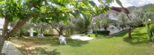 Jardín al aire libre en Viki Studios and Apartments