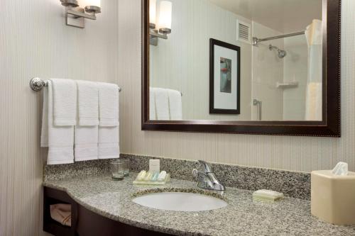 a bathroom with a sink and a mirror at Hilton Garden Inn Hoffman Estates in Hoffman Estates