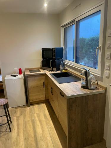 une cuisine avec évier et four micro-ondes ainsi qu'une fenêtre dans l'établissement Studio jacuzzi Love Room, à Sacquenville