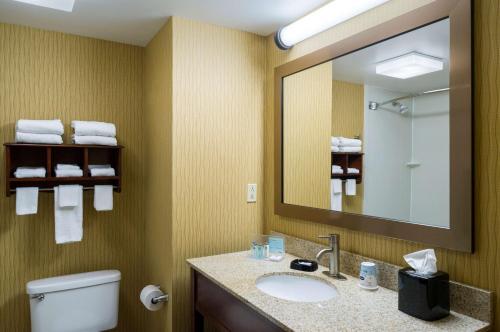 a bathroom with a sink and a mirror and a toilet at Hampton Inn Danville in Danville