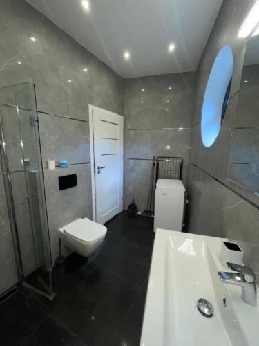 W łazience znajduje się toaleta, umywalka i prysznic. w obiekcie Apartament Navy Blue z tarasem w Serocku