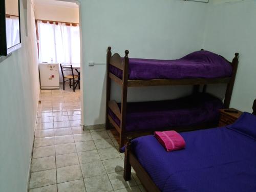- une chambre avec 2 lits superposés et des draps violets dans l'établissement Odelbor Departamento, à Ushuaia