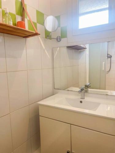 une salle de bain avec un lavabo et un miroir dans l'établissement Appartement Saint Cyprien, à Toulouse