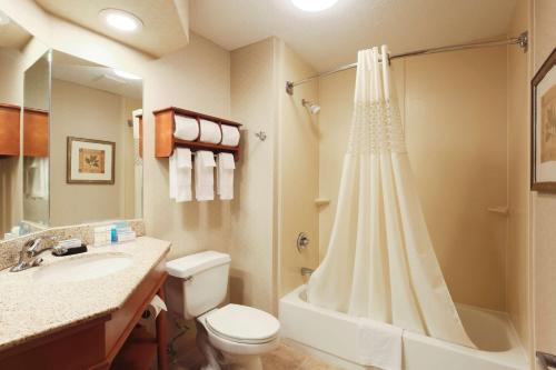 Koupelna v ubytování Hampton Inn Decatur/Forsyth