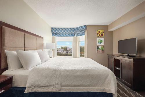 a bedroom with a large bed and a television at Hampton Inn & Suites Fort Wayne-North in Fort Wayne