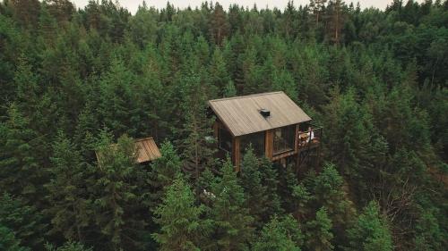 una vista aérea de una cabaña en medio de un bosque en Hyssna Forest Resort, en Hyssna
