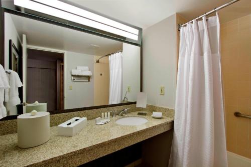 a bathroom with a sink and a mirror at Courtyard by Marriott Lyndhurst/Meadowlands in Lyndhurst