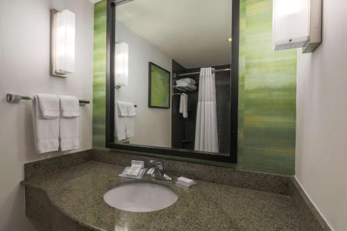 a bathroom with a sink and a mirror at Hilton Garden Inn Norman in Norman