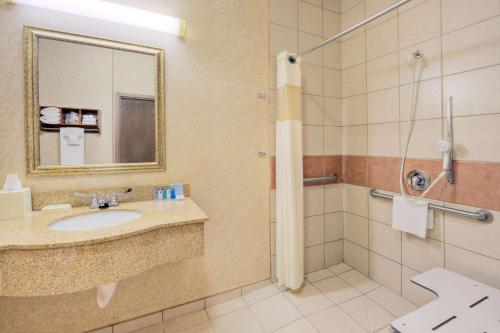 W łazience znajduje się umywalka i prysznic. w obiekcie Hampton Inn & Suites Palmdale w mieście Palmdale