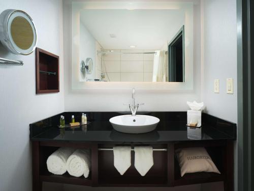a bathroom with a sink and a mirror at DoubleTree by Hilton Hotel Chattanooga Downtown in Chattanooga