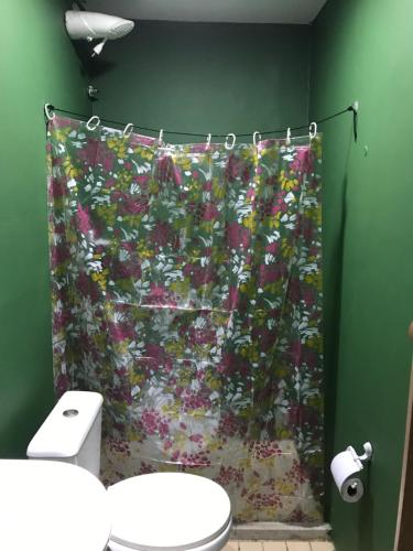 een badkamer met een douchegordijn en een toilet bij Hostel do Rasta in Salvador