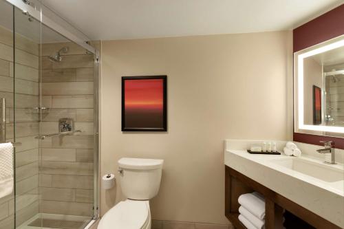 a bathroom with a toilet and a sink and a shower at Embassy Suites by Hilton Phoenix Downtown North in Phoenix