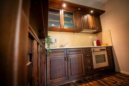 a kitchen with wooden cabinets and a sink at Gabarite Holiday Village in Apriltsi