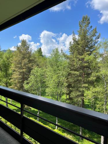 a view from the bridge of the trees at Appartementhaus Birkenwald in Seefeld in Tirol
