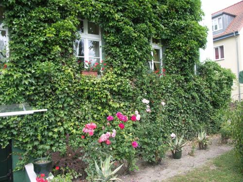 Сад в Hotel Zur Alten Oder- Frankfurt-Oder