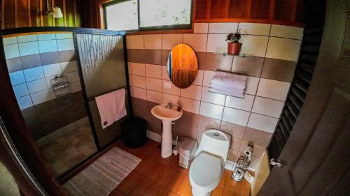 a bathroom with a shower and a toilet and a sink at Bungalows Las Iguanas Arenal Volcano in Chachagua
