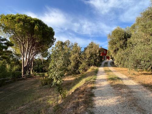 a dirt road with trees on the side of a house at Agriturismo Podere Orzale Hospitality & Quarter Horses in Usigliano