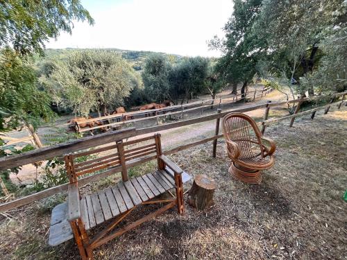a wooden bench sitting next to a fence at Agriturismo Podere Orzale Hospitality & Quarter Horses in Usigliano