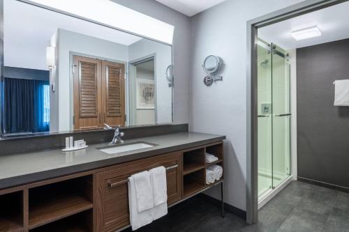 a bathroom with a sink and a mirror at Courtyard Austin South in Austin