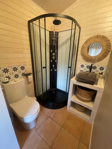 uma casa de banho com um chuveiro e um WC. em Studio chalet Bassin d’Arcachon em Mios