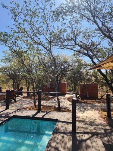 a swimming pool in a yard with trees at Crimson Bush Lodge in Klipdrift