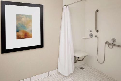 a bathroom with a shower curtain and a picture at Homewood Suites by Hilton Minneapolis-Mall Of America in Bloomington