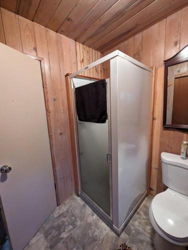 a bathroom with a shower and a toilet in a room at Moore's Cabin in Miramonte