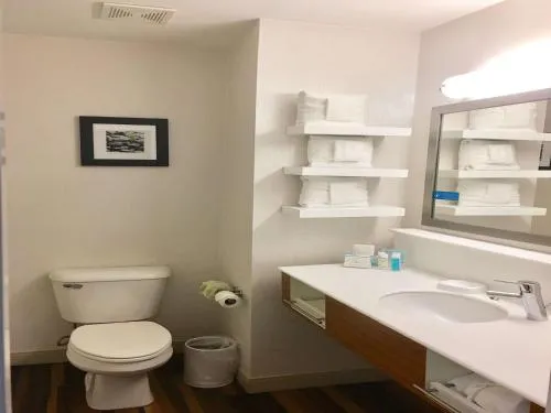 Hampton Inn Sevierville photo 9