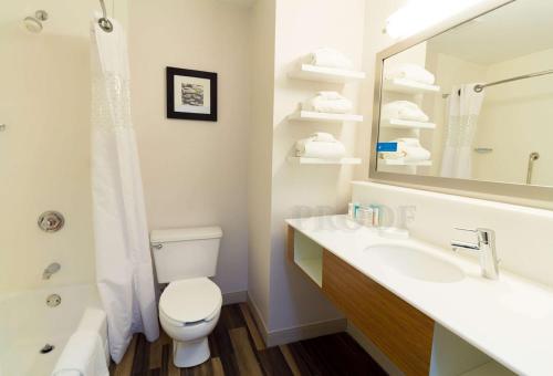 W łazience znajduje się toaleta, umywalka i lustro. w obiekcie Hampton Inn Sevierville w mieście Sevierville