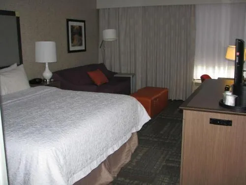 Hampton Inn Sevierville photo 6