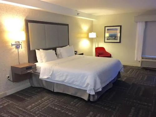 Hampton Inn Sevierville photo 22
