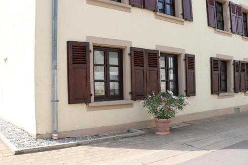 a building with brown windows and a potted plant at Ferienhaus zum roten Traktor in Perl