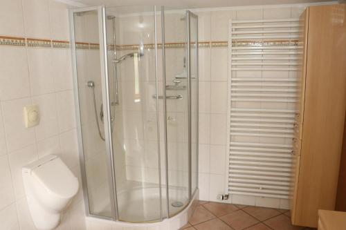 a bathroom with a shower and a toilet at Ferienhaus zum roten Traktor in Perl