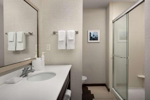 a bathroom with a sink and a toilet and a mirror at Hampton Inn Knoxville Clinton I-75 in Clinton