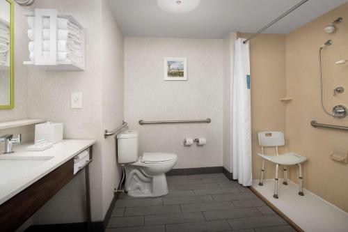 a bathroom with a toilet and a sink and a shower at Hampton Inn Knoxville-East in Knoxville